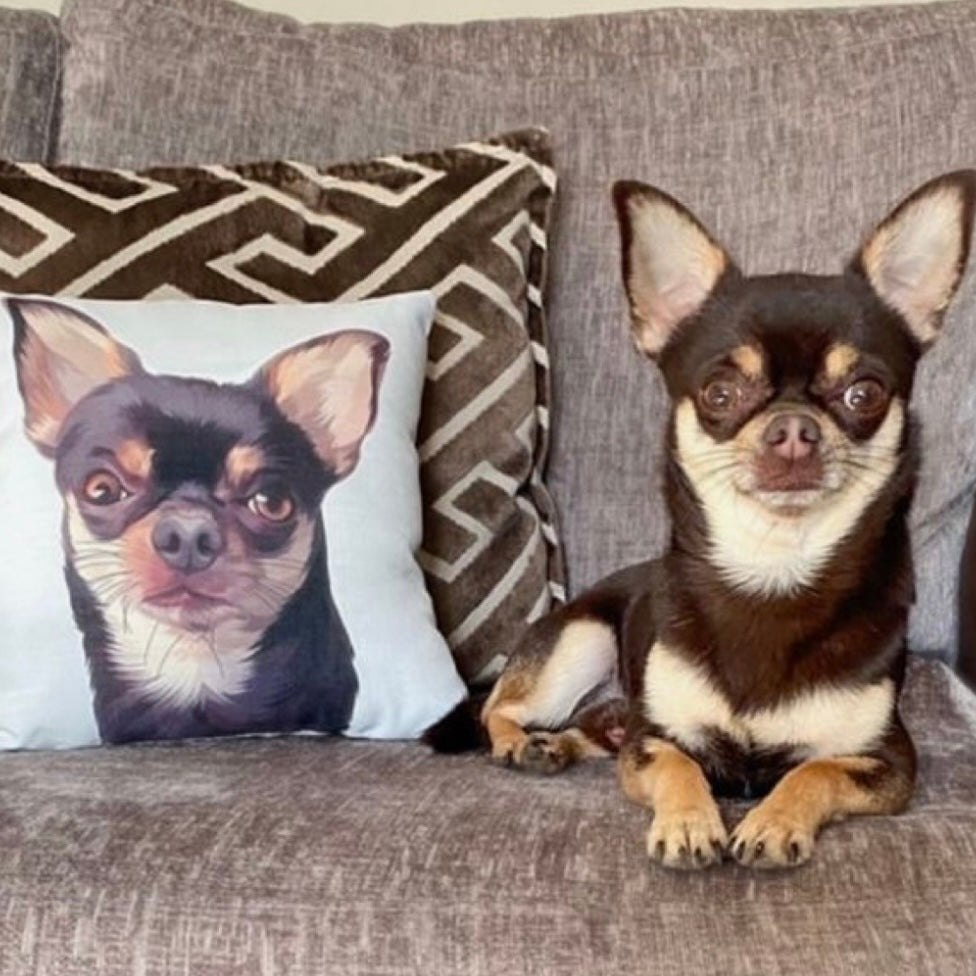 Custom Cushions