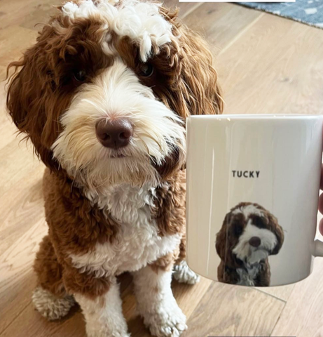 Custom Pet Mug