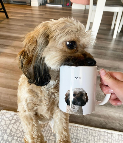 Custom Pet Mug