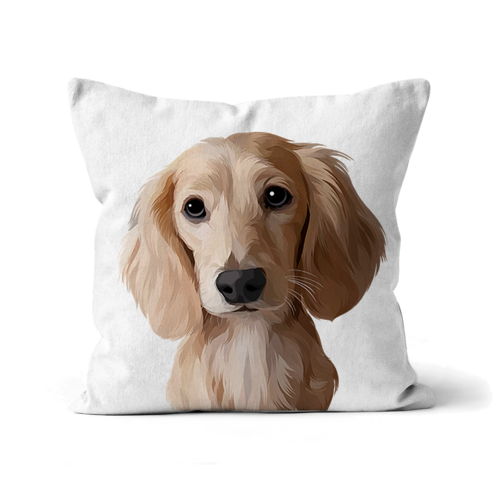 Custom Pet Cushion