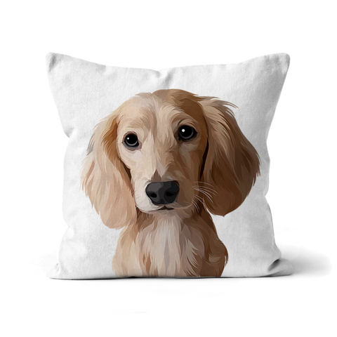 Custom Pet Cushion