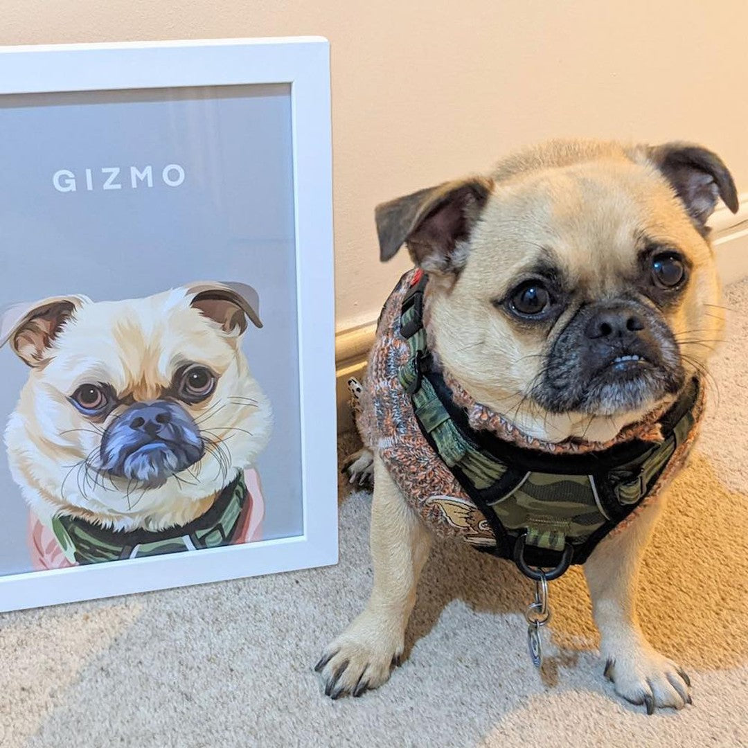 Two Pet Custom Pawtrait