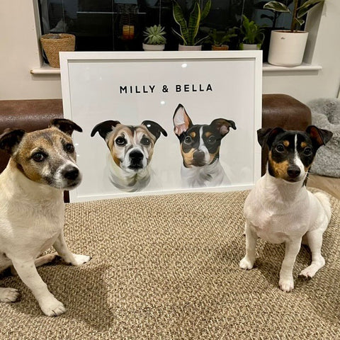 Custom Pet Portrait