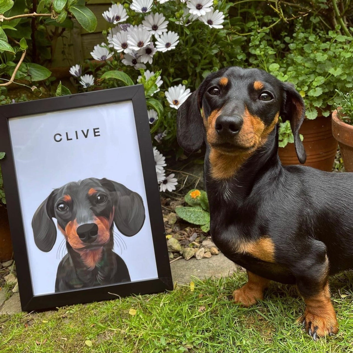 Two Pet Custom Pawtrait