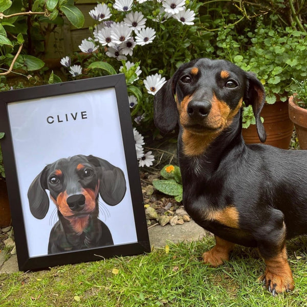 Two Pet Custom Pawtrait