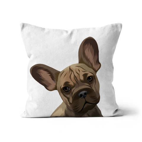 Custom Pet Cushion